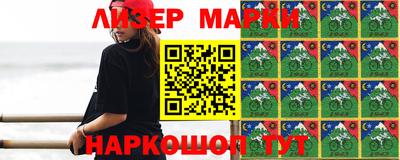крисы Шелехов