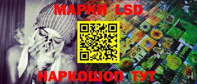крисы Шелехов