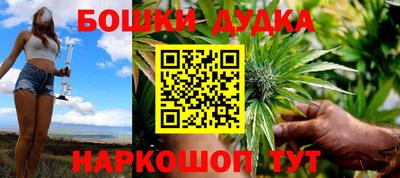 крисы Шелехов
