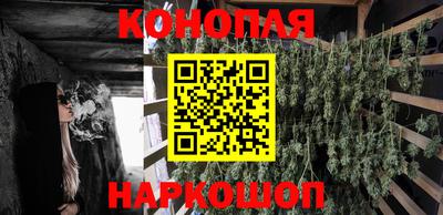 ALPHA PVP Шахты