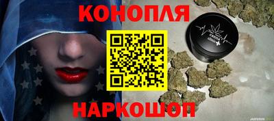 крисы Шелехов