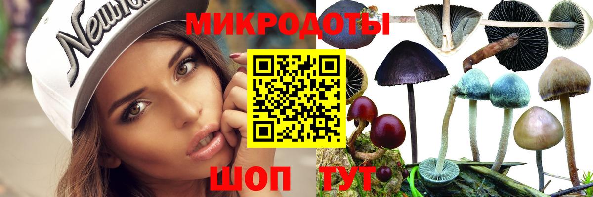 Псилоцибиновые грибы Psilocybe Набережные Челны